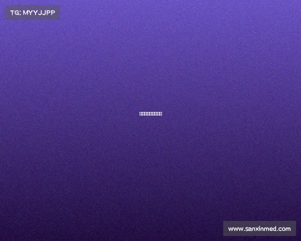 最高水平的篮球比赛